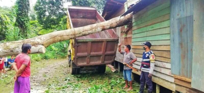 Bantuan ke Korban Rumah Tertimpa Pohon di Kotabaru Mulai Mengalir