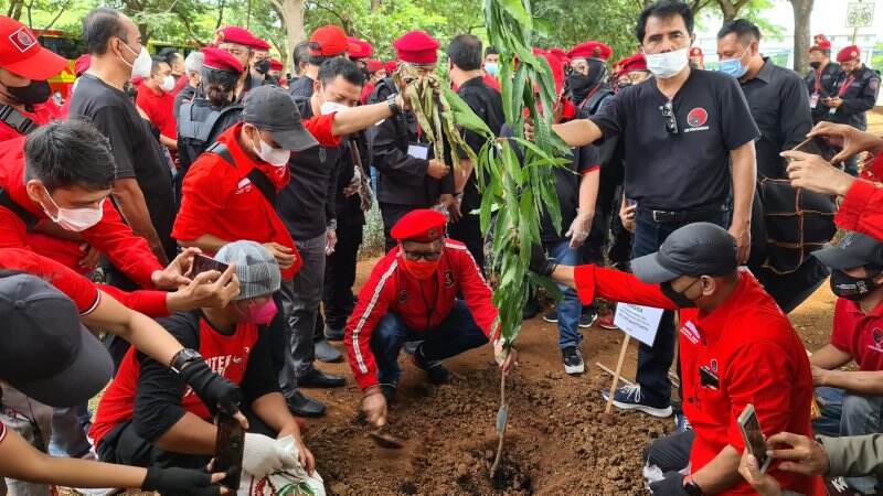 Sambut HUT ke-49, PDIP Bersih-bersih Ciliwung dan Tanam Pohon