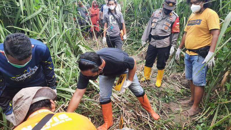 Perempuan Paruh Baya Ditemukan Tewas Terlentang di Perkebunan Tebu, Polisi Temukan Memar