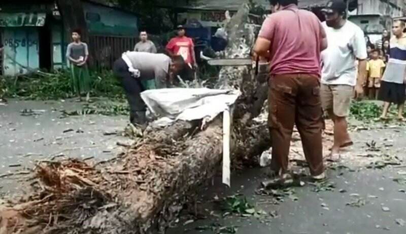 3 Pengendara Motor Tertimpa Pohon Tumbang di Sidoarjo, Alami Patah Tulang