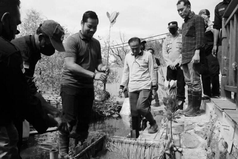 Hijaukan Danau Gili Meno dengan Mangrove